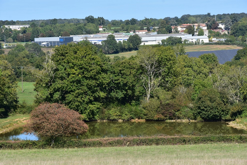 Panneaux solaires en production industrielle
